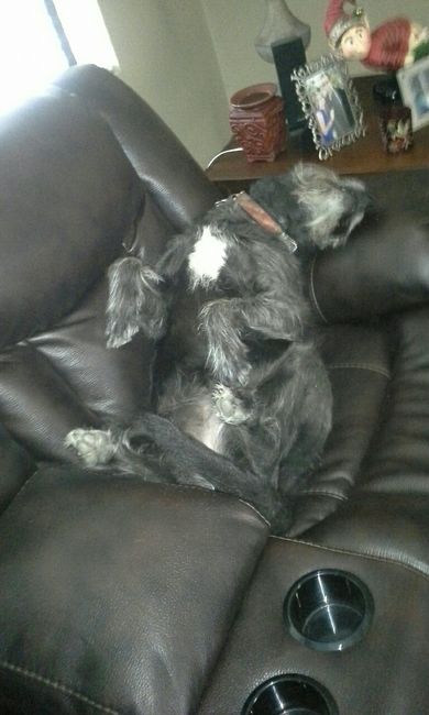 Spinoff: Show us your rescues!