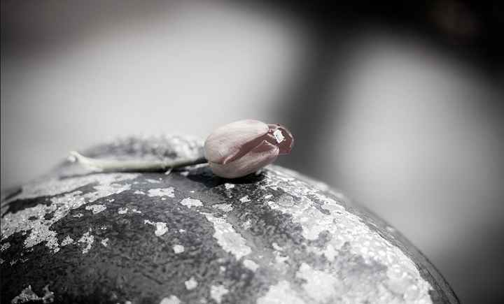 Engagement Pics!  *Pics Included*