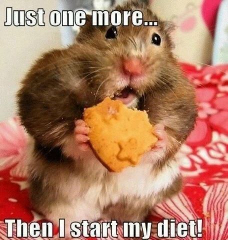 exercising brides....lets laugh (pics)