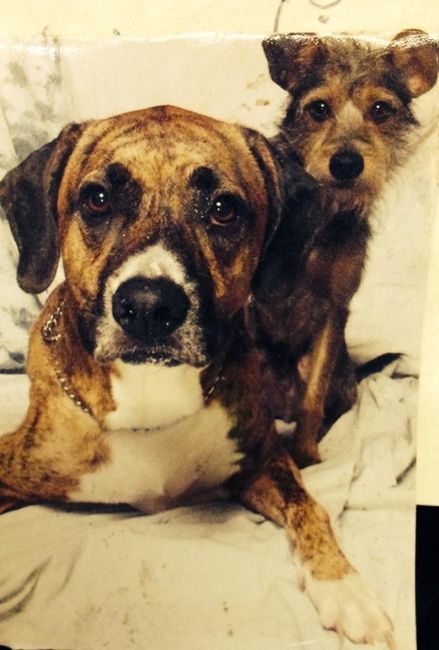 NWR- Furbaby Friday