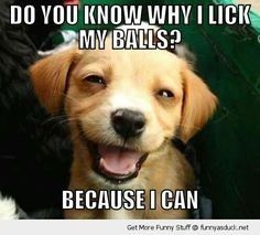 WW: Please welcome, Tickled Tuesday!