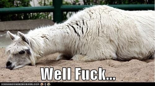 The alpaca thread is gone