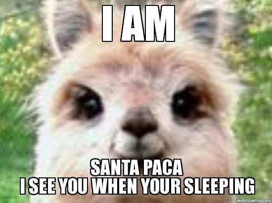 The alpaca thread is gone