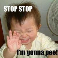 The alpaca thread is gone