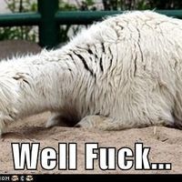 The alpaca thread is gone