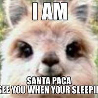 The alpaca thread is gone