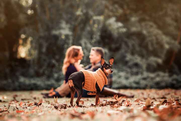 Post Your Engagement Pics! - 2