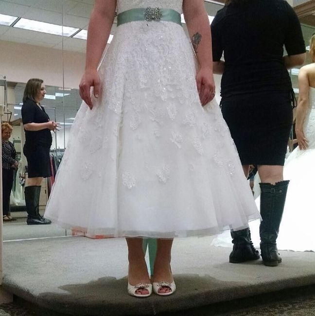 Dress Alteration Opinion
