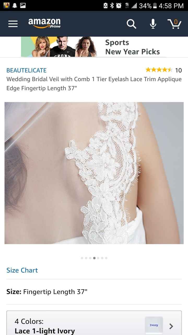  Lace dress brides! Can i see you veil?!?! - 1