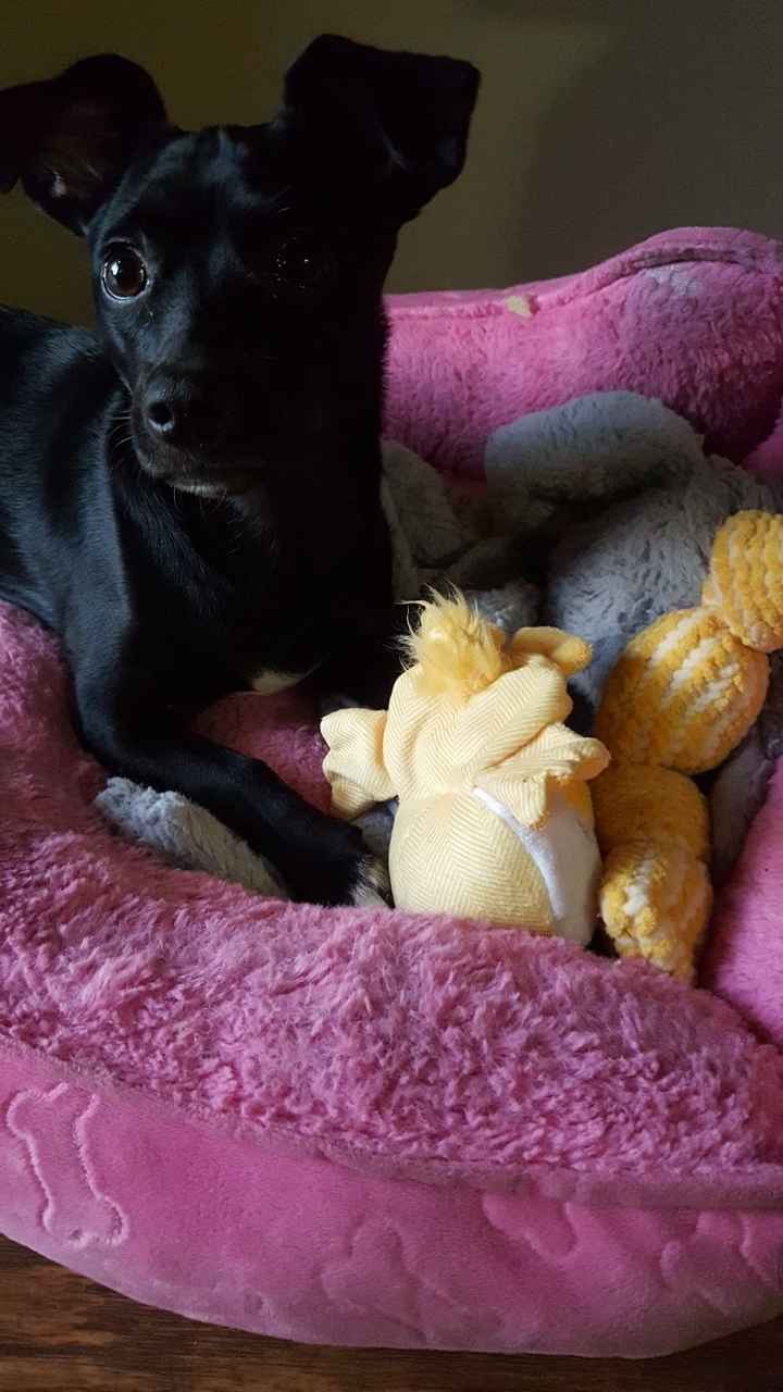  Can't upload pics - mobile - 1