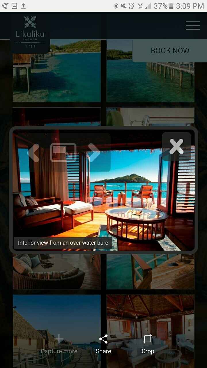 Spinoff: Dream Honeymoon