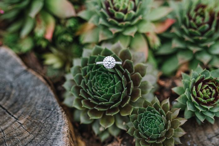 dc Engagement Photos! 9