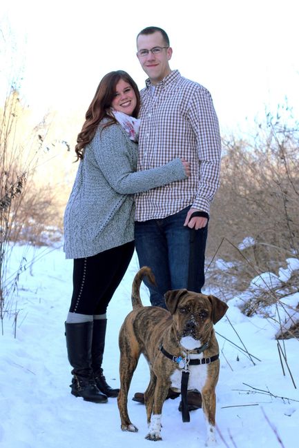 Pets in Pro Pics
