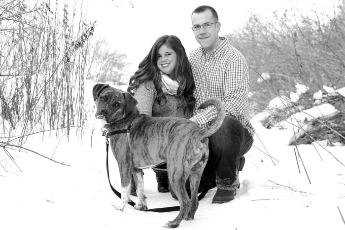 Pets in Pro Pics