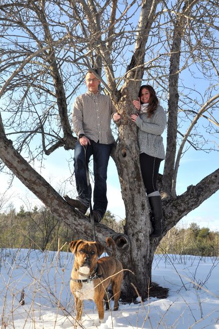 Pets in Pro Pics