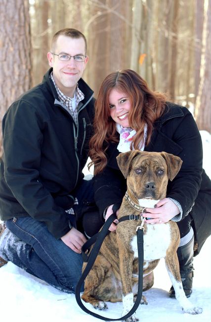 Pets in Pro Pics