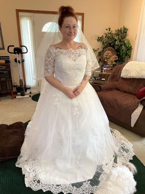 How much did your wedding dress alterations cost? 3