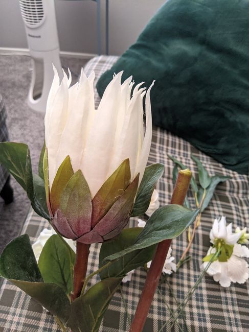 diy Bouquets and Boutonnieres - 3