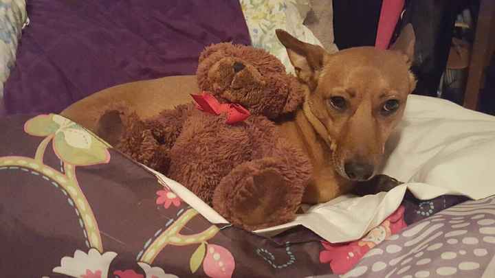 NWR: post pics of your pets!!