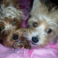 NWR: Show me your fur babies