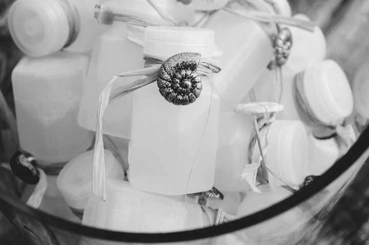 She Sells Seashells...