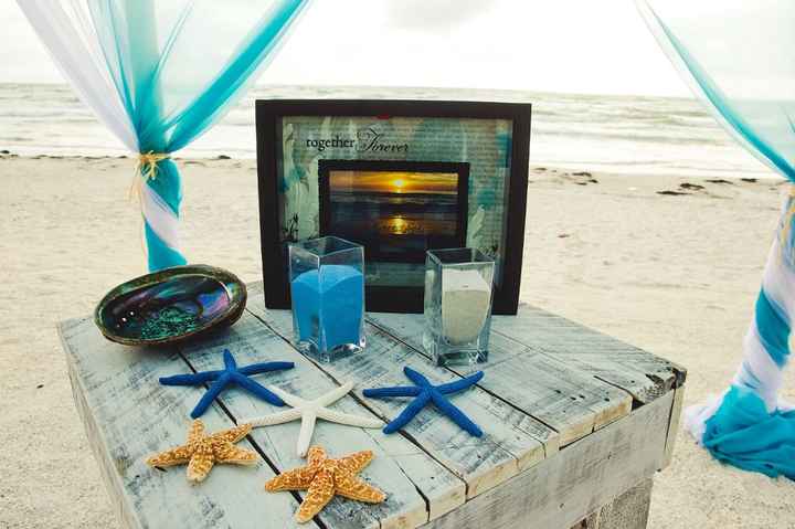 She Sells Seashells...