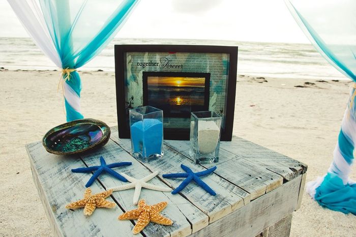 She Sells Seashells...