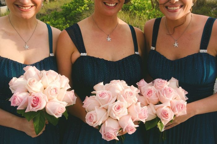 She Sells Seashells...