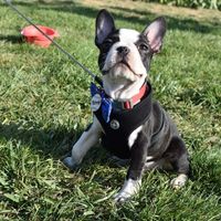 #tbt Engagment Day - 6