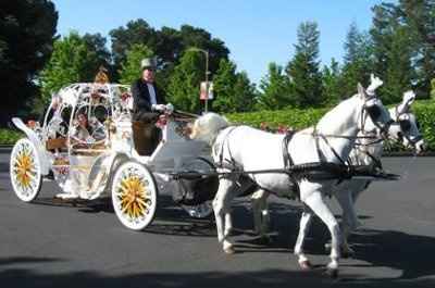 Are you having a horse and carriage & how much are you paying?