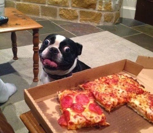 Pizza, yay or nay