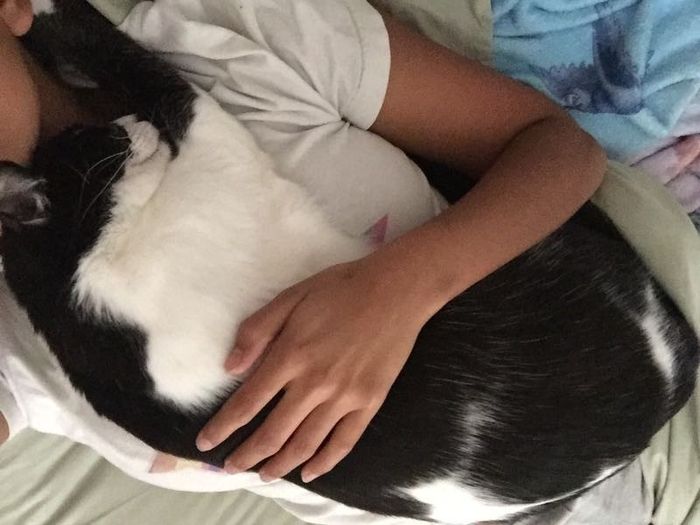 NWR: Bored? Show off your pets!
