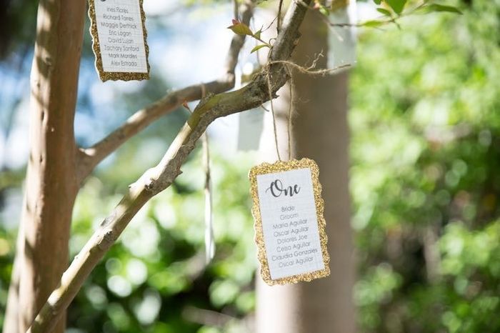 Update: Backyard woodsy BAM (pro pics)