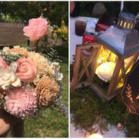 Show me your sola wood flowers!