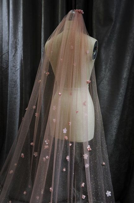 Non traditional wedding gown yes or no? 1