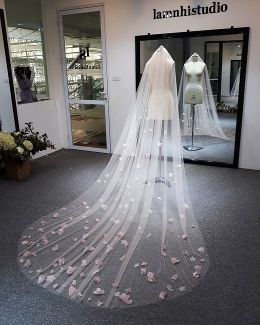 Non traditional wedding gown yes or no? 2