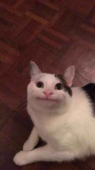 How do you smile pretty for photos? - 1
