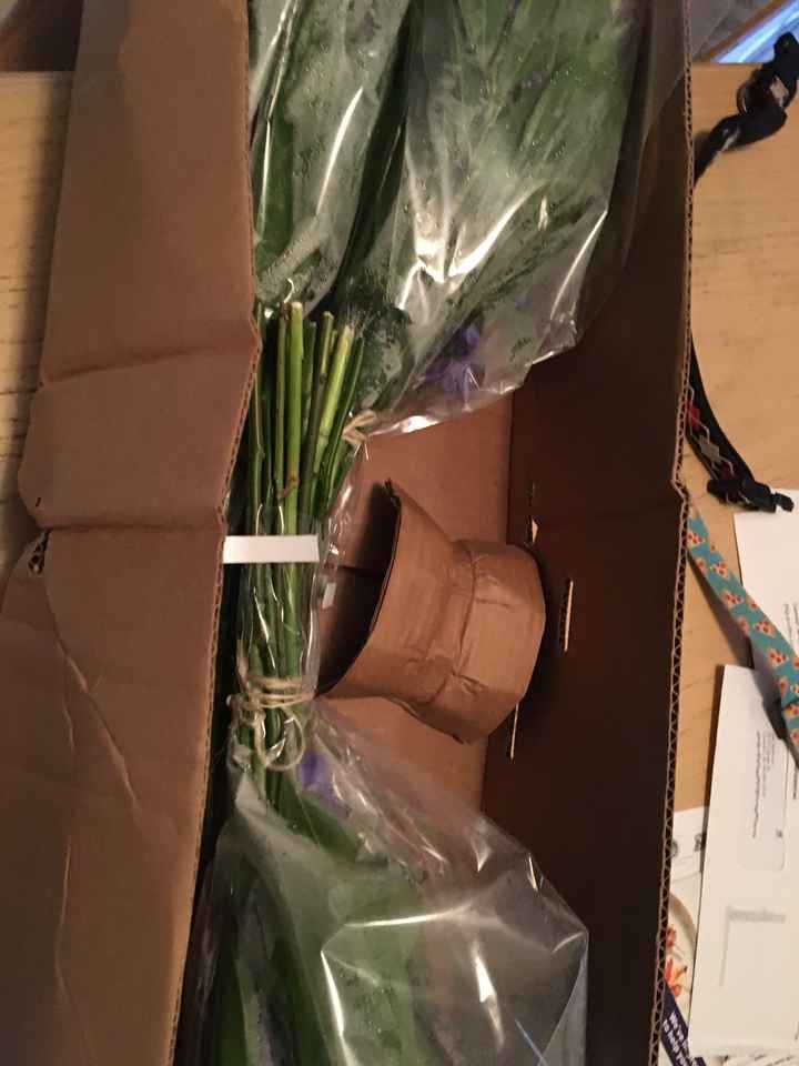 Fiftyflowers are here! - 3