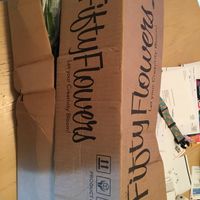 Fiftyflowers are here! - 2