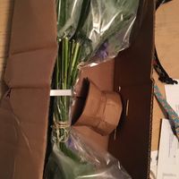 Fiftyflowers are here! - 3