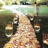 What are these things called?