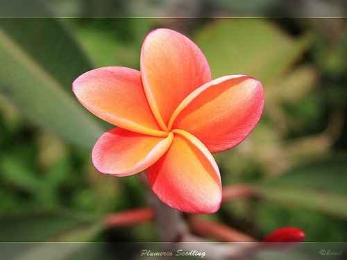 less than 5 days to go and a very bad news received yesturday * with pics