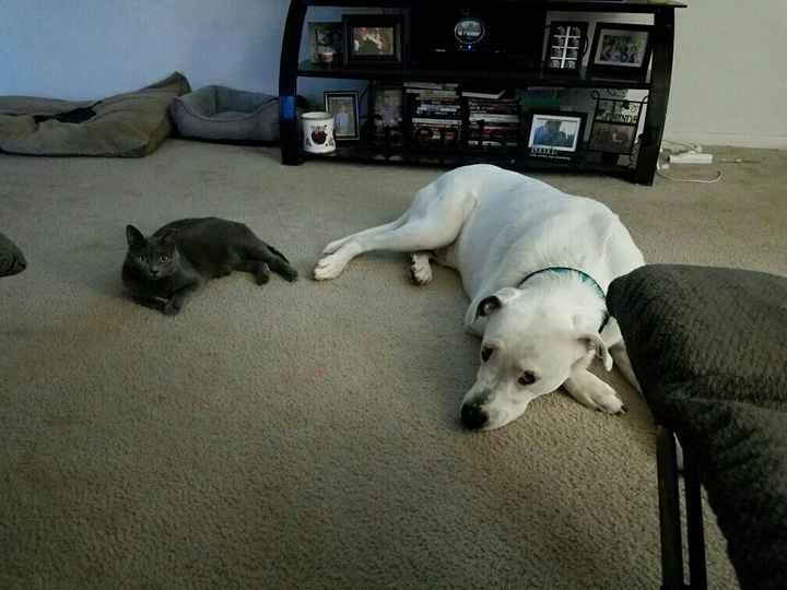 NWR Animal Lovers