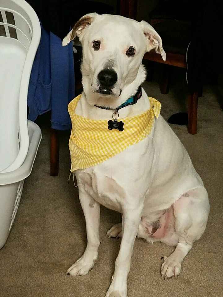 Nwr: my pup