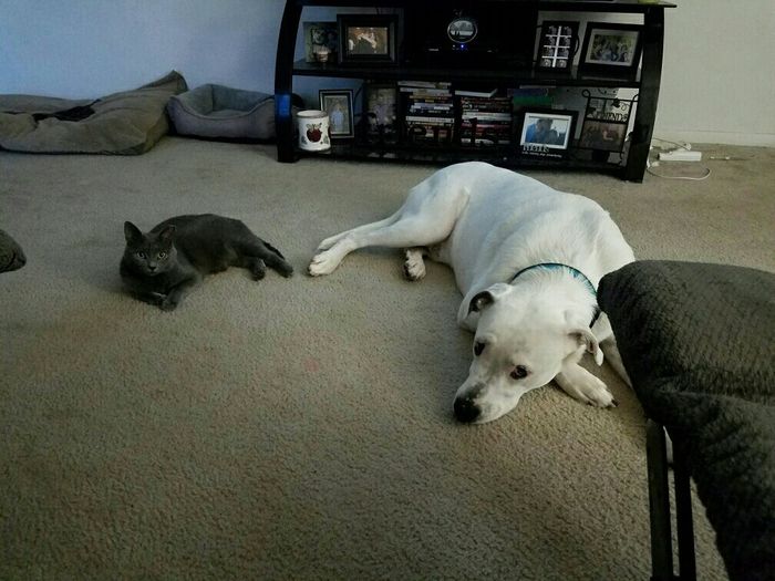NWR Animal Lovers