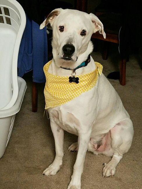 Nwr: my pup