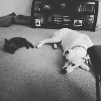 The line of 1000+ people