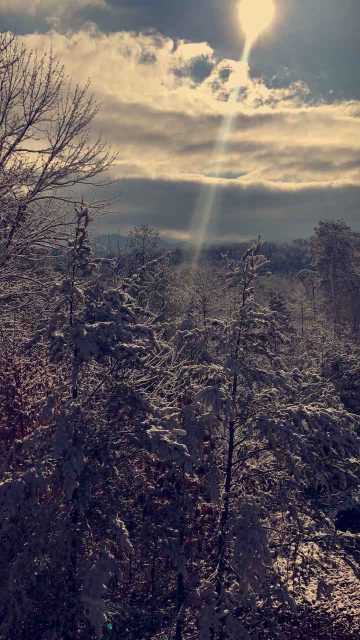 Anyone else taking advantage of this snow day? What are you working on?