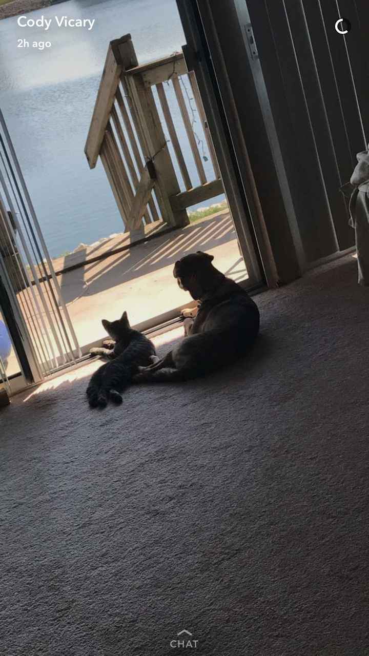 Show me your holiday photos!