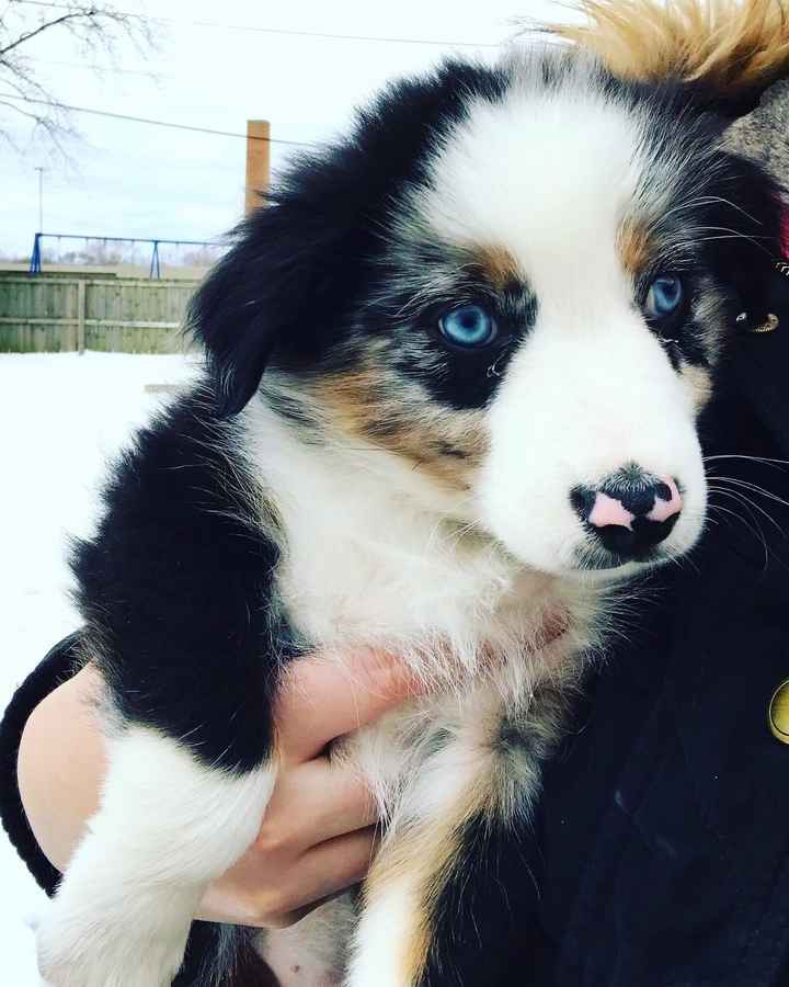 Need to take your mind off wedding planning? - 1